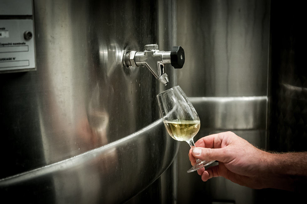 Savoir-faire en cave